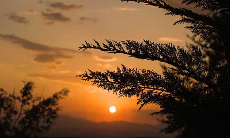 Arktos boutique hotel ξενοδοχείο Ιωάννινα