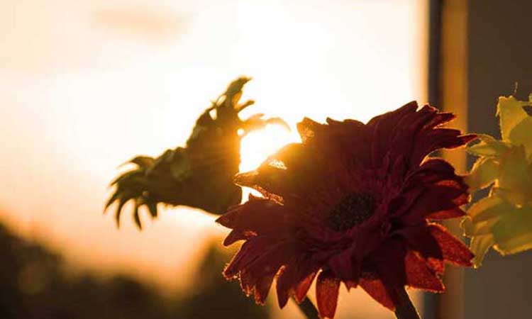 Arktos boutique hotel ξενοδοχείο Ιωάννινα