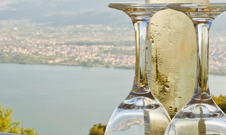 Arktos boutique hotel ξενοδοχεία Ιωάννινα