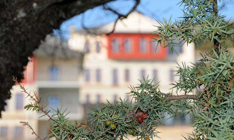 Arktos Hotel Ιωάννινα τιμες