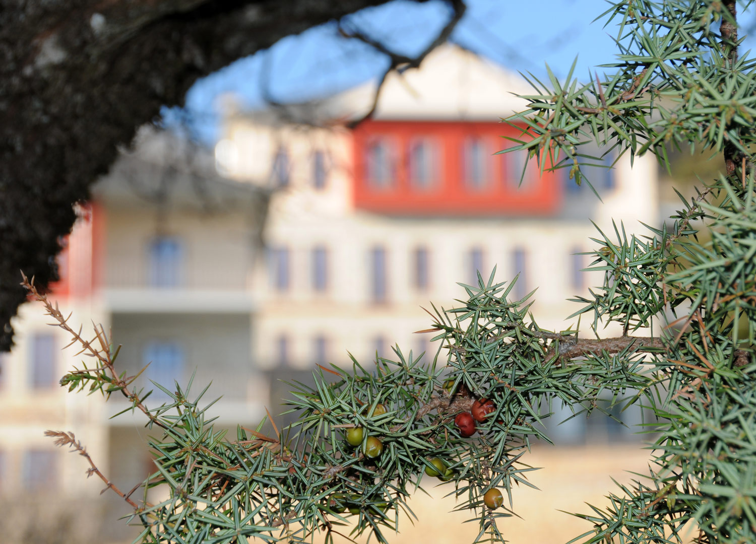 Ξενοδοχείο Ιωάννα Arktos Hotel